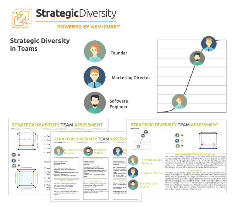 Strategic Diversity