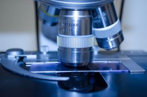 microscope-316556_640 microscope-316556_640