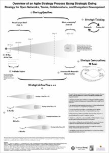 Strategic Doing under the hood Strategic Doing under the hood