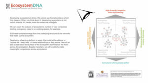Business-Ecosystem Business-Ecosystem