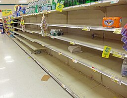 Empty store shelves before a storm